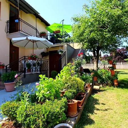 Fero With Beautiful Garden *