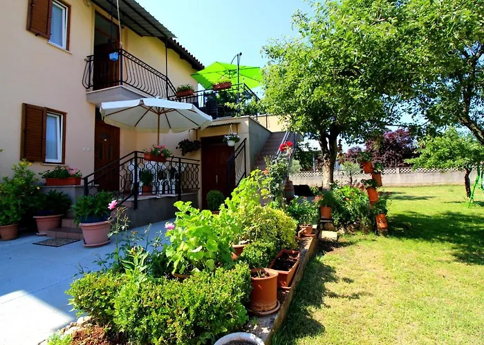 Fero With Beautiful Garden *