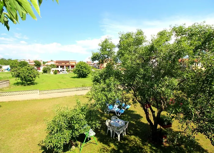 Fero With Beautiful Garden *